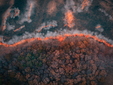 wildfires aerial view