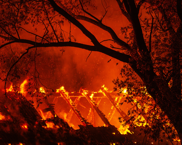 Mitigating Wildfire Risks with Fireproof Building Materials Like CFS